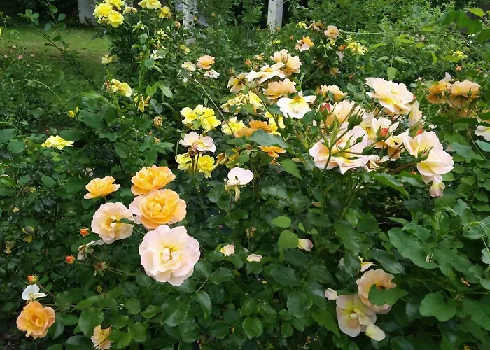 Guest house Le Logis De 3*